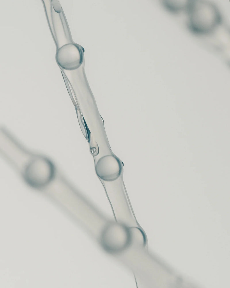 Nicotinamide Mononucleotide