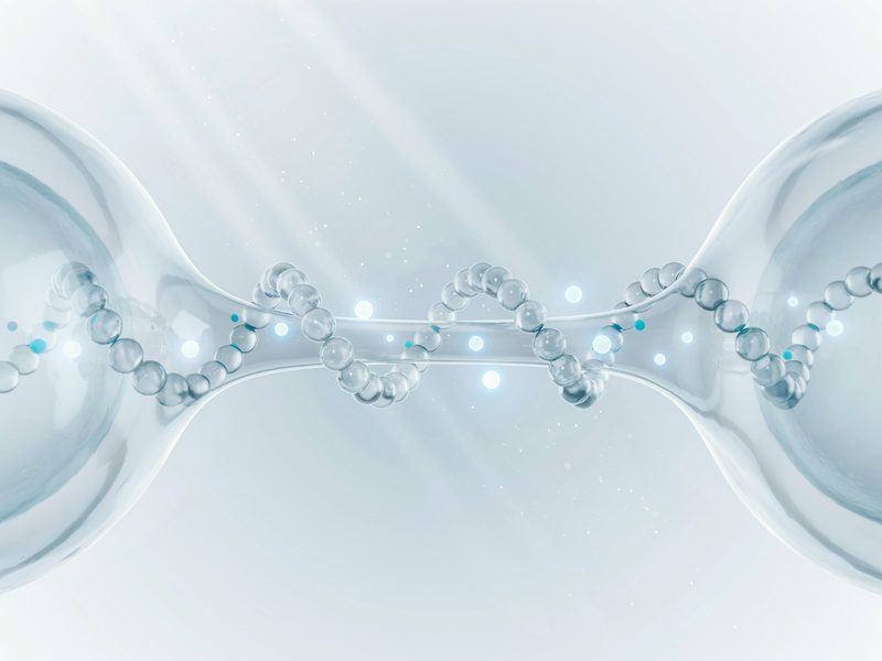 Amino Support Base & Formulation stability