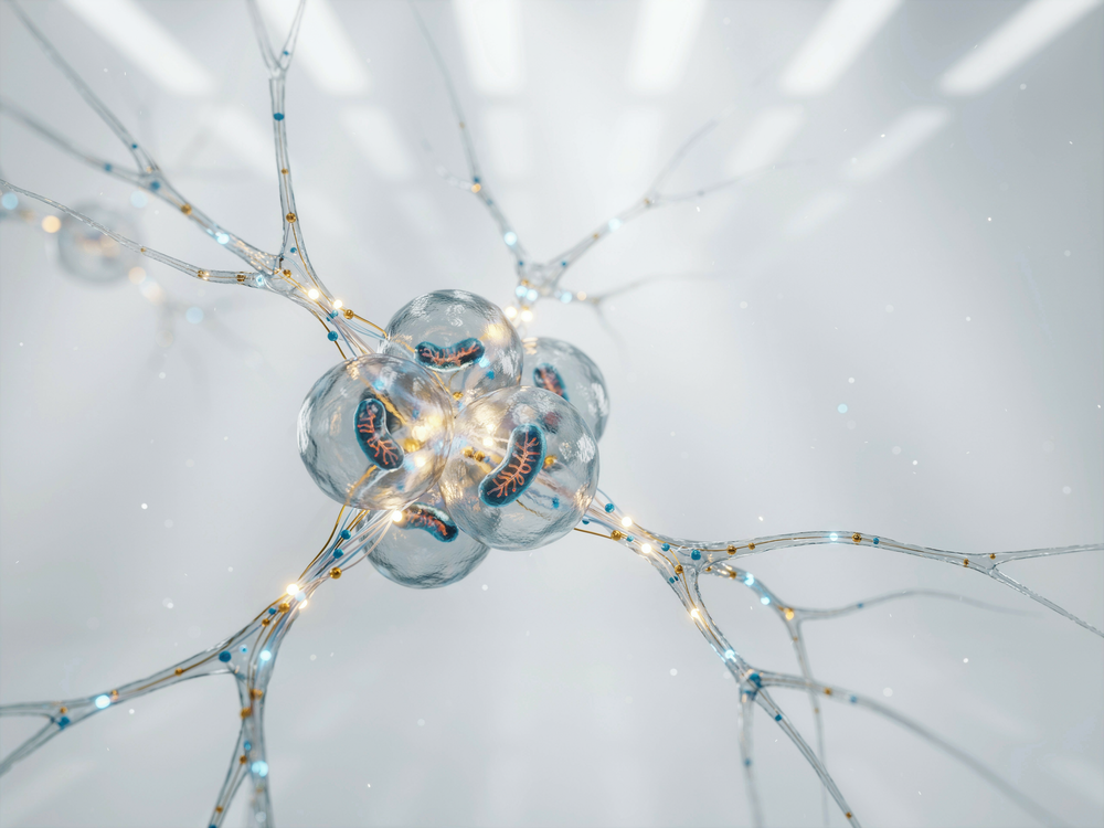 Cellular Energy Support & B-Complex Support